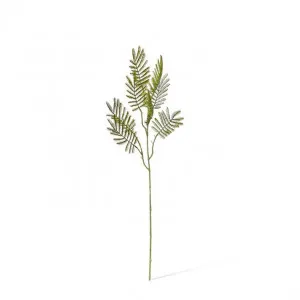 Wattle Leaf Spray - 20 x 12 x 61cm by Elme Living, a Plants for sale on Style Sourcebook