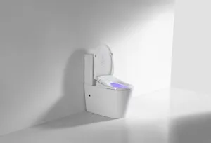 Kare Smart Bidet Seat With Remote Control by Zumi, a Toilets & Bidets for sale on Style Sourcebook