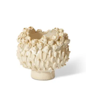 Cordelia Vase - 22 x 22 x 19 cm by Elme Living, a Vases & Jars for sale on Style Sourcebook