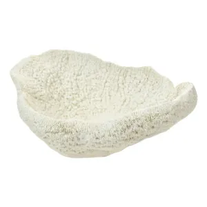 Coral Decor Sculpture 28x20cm in White by OzDesignFurniture, a Statues & Ornaments for sale on Style Sourcebook