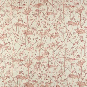 Wild Chervil Terracotta by Ashley Wilde - Clarissa Hulse, a Fabrics for sale on Style Sourcebook