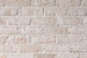 San Selmo Classico - Limewash by Austral Bricks, a Bricks for sale on Style Sourcebook