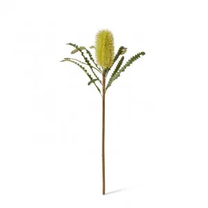 Banksia Stem - 20 x 8 x 65cm by Elme Living, a Plants for sale on Style Sourcebook