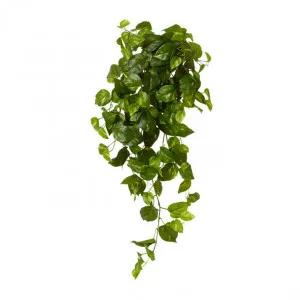 Pothos Golden Hanging Plant - 34 x 30 x 104cm by Elme Living, a Plants for sale on Style Sourcebook