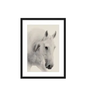 Apollo the White Horse Framed Wall Art 80cm x 60cm by Luxe Mirrors, a Artwork & Wall Decor for sale on Style Sourcebook
