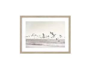 Seascape with Birds Framed Wall Art 80cm x 60cm by Luxe Mirrors, a Artwork & Wall Decor for sale on Style Sourcebook