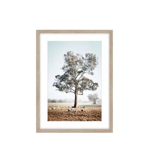 Lovers Tree Framed Wall Art 80cm x 60cm by Luxe Mirrors, a Artwork & Wall Decor for sale on Style Sourcebook